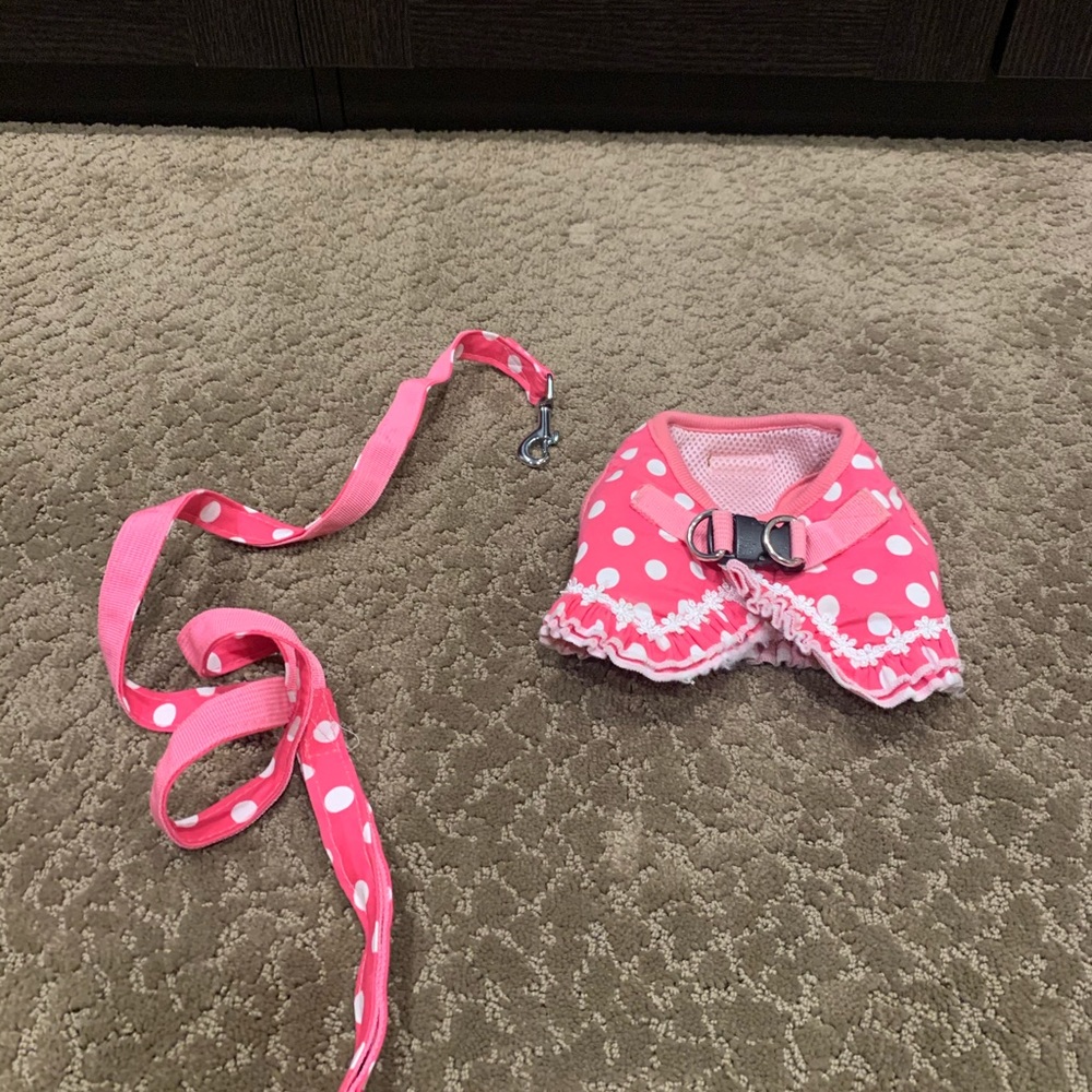 Doggy/Puppy harness and leash